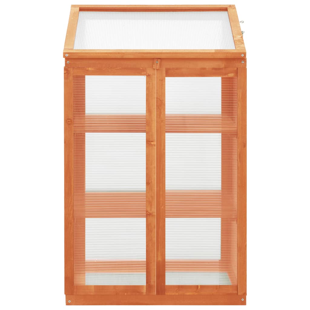Firwood Greenhouse 23.6 x 17.7 x 39.4 Inches Ideal